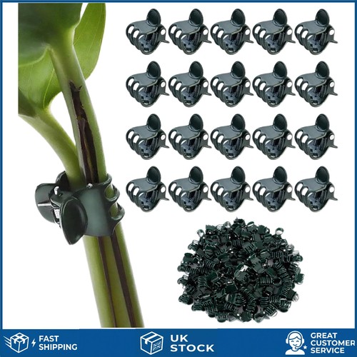 Sturdy plastic orchid - orchid, support