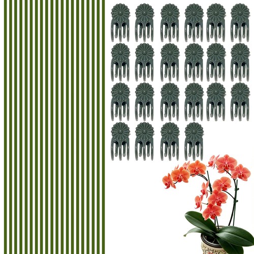 20pack orchid sticks and - 20pack,
