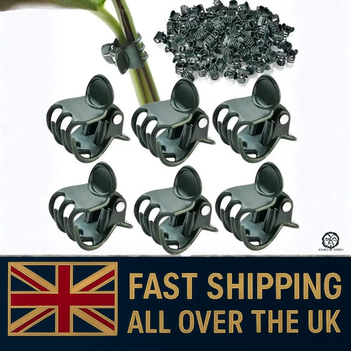 100x plastic plant support - 100x,