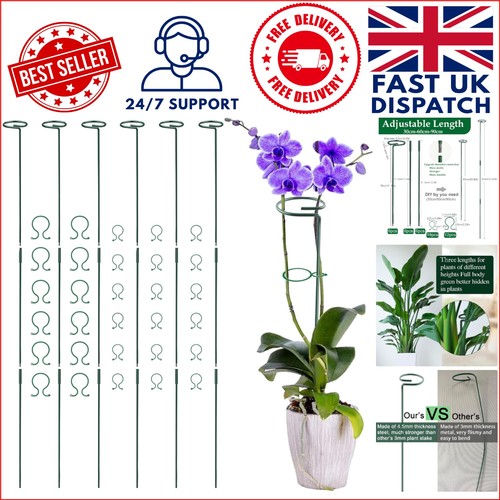 Sturdy 6pcs plant - plant, support
