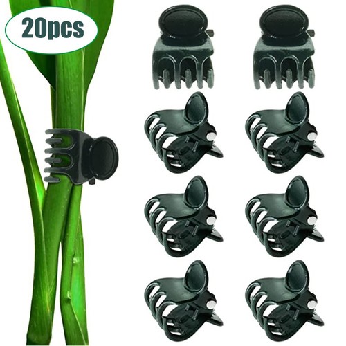 Plant support clips orchid - support,