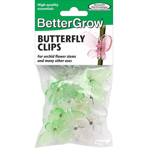 Orchid plant clips - plant, decorative