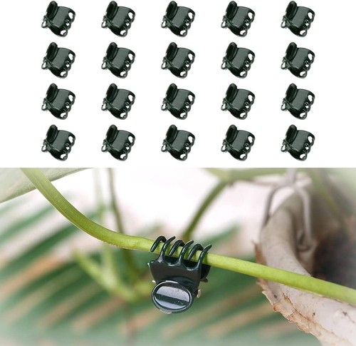 Orchid clips supports 20 - clips,