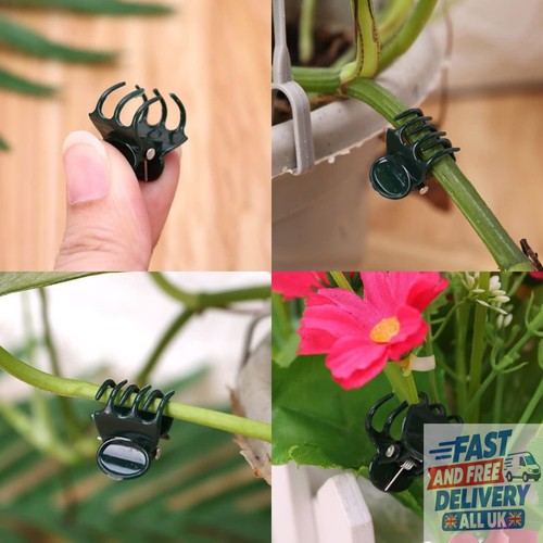 30pcs orchid clips - clips, plant