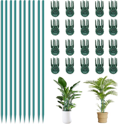 30cm plant support - plant, stakes