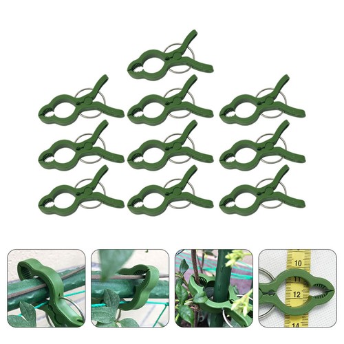 Pcs orchid clip - clip, garden