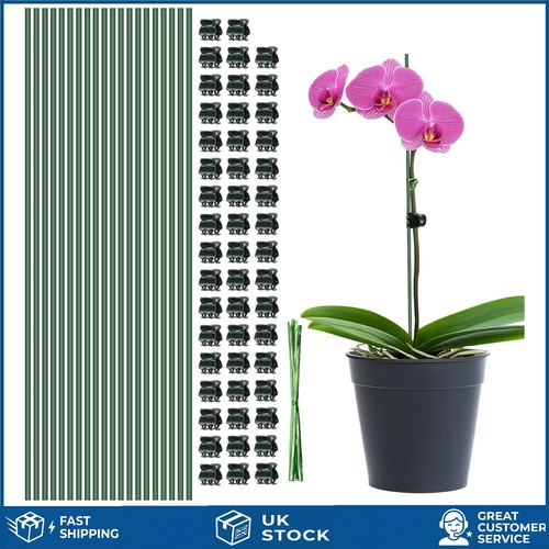 Flexible bendable green plant - bendable,