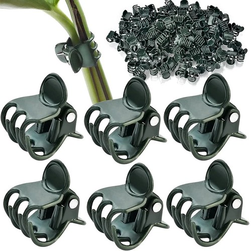 Orchid plant support clips - orchid,