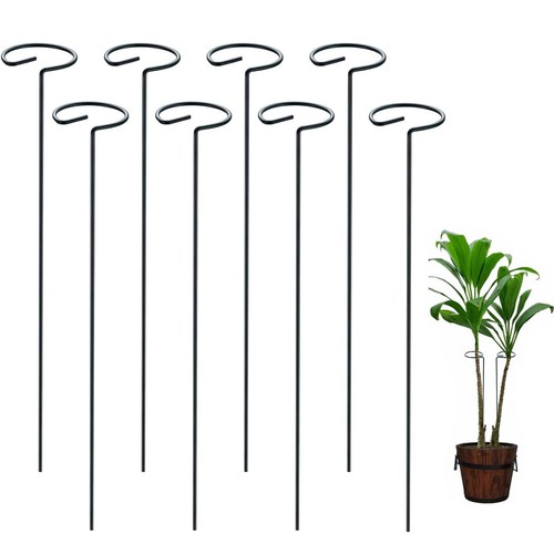 Orchid support stakes plant - orchid,