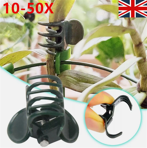 10x 50x plant - plant, clips