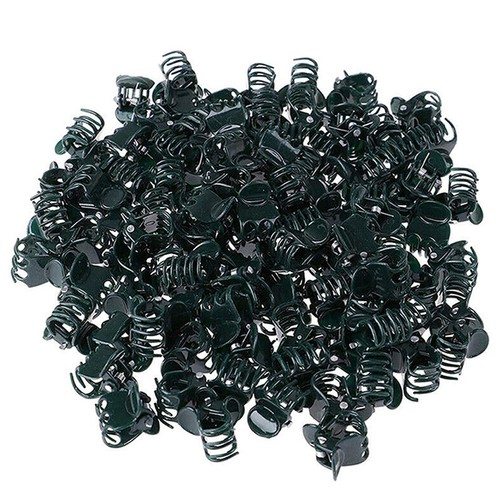 100 pcs orchid - 100,