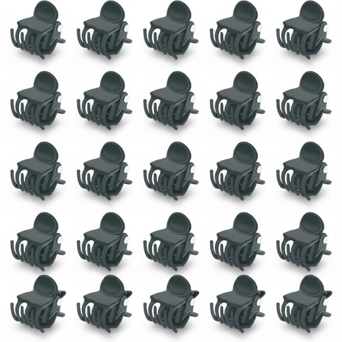 Orchid clips plant - orchid,