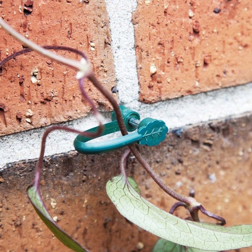 20pcs orchid clips plant - orchid,