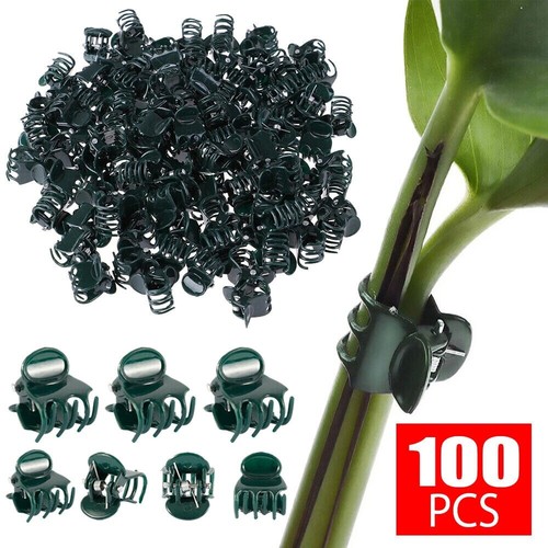 100pcs plant fix clips - 100pcs, orchid