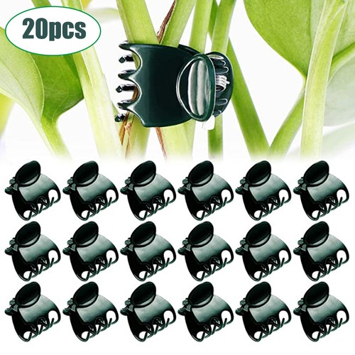 Plant support clips orchid - clips,