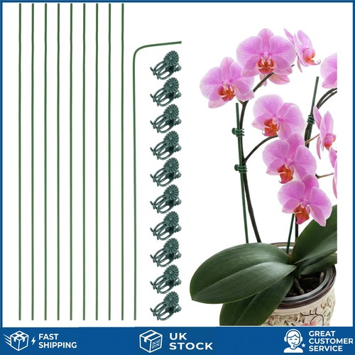 Sturdy flexible orchid - sturdy,