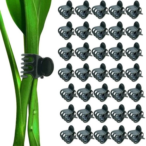 Claw plant clips climbing - claw, stem