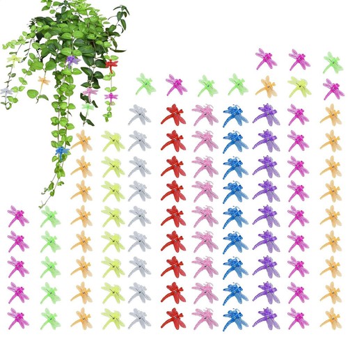 100x butterfly orchid support - 100x,