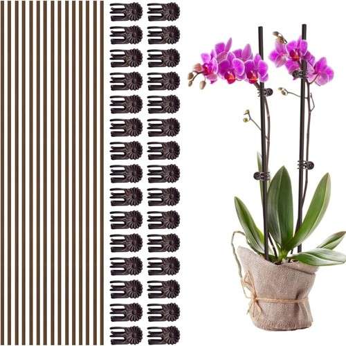15pcs 40cm plant - plant, support