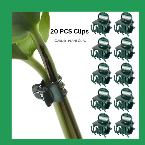 Plastic plant support - support, clips