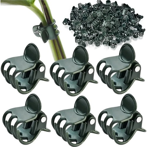 100x plastic plant - 100x,