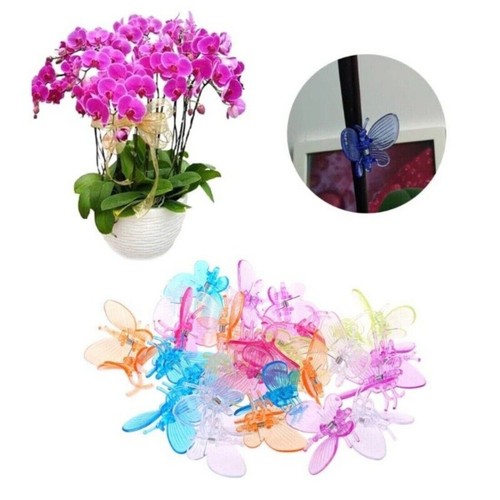Orchid clips plastic - orchid,