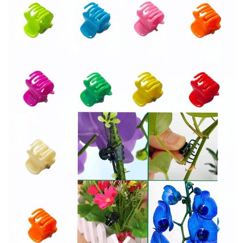 Orchid plant support clips - orchid,