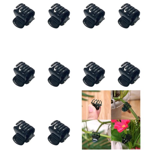 Orchid plant support - plant, clips