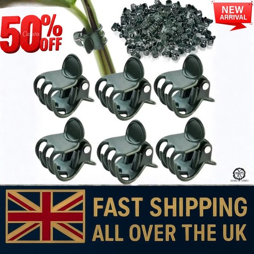 100x plastic plant support - 100x,
