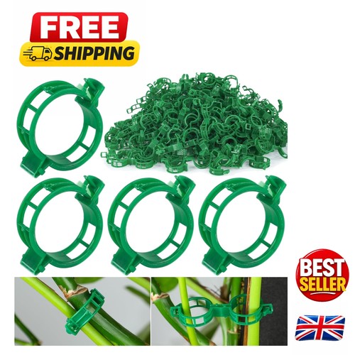 100pcs plant support - 100pcs,