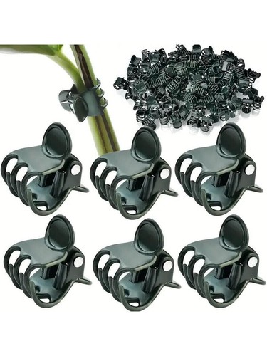 Orchid plant support - orchid,
