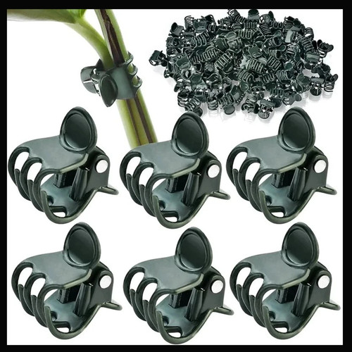 Plastic plant support - plant, clips