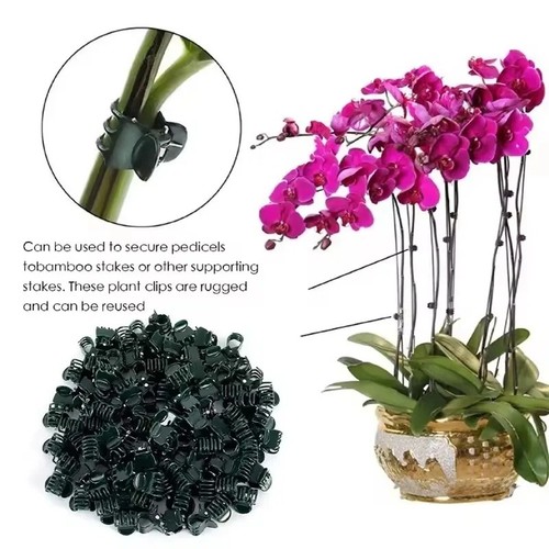 100pcs plant fix - 100pcs, clips