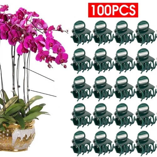 100pcs plant fix - 100pcs, orchid
