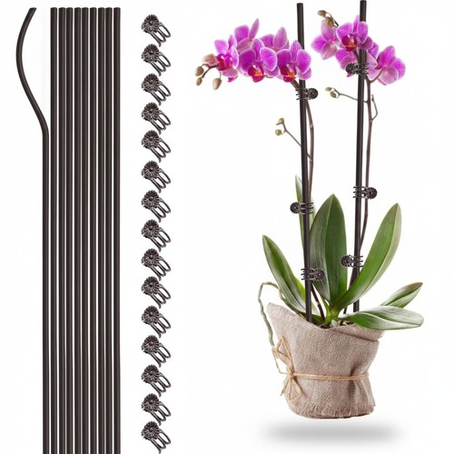 Garden plant support sticks - plant,