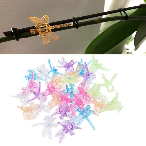 Dragonfly orchid clips 30pcs - clips,