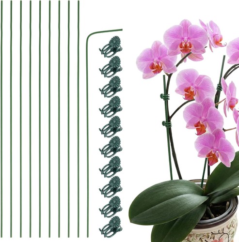 Pack orchid stakes - orchid,